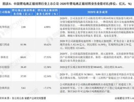 600139西部资源（生产锂电池的上市公司有哪些？）