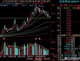 600313股票？农业股票有哪些？