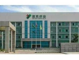 宜宾纸业，纸业十大龙头？
