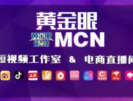 天下广电网，华爱天下网络电视台上级单位？