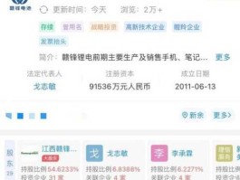 赣锋锂业 赣锋锂业在江西的排名？