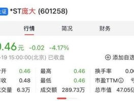 庞大股票？庞大集团退市后能重新上市吗？