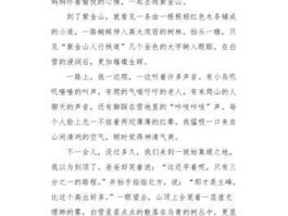 紫金风华小说，一生紫金终身湖人全文？