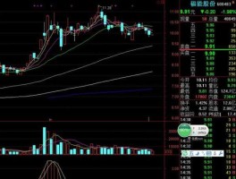 600433股吧 600483会涨吗？