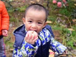 中国教育电视台果实网（小孩把邻居家的果子摘了怎么教育？）