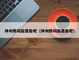神州数码股票 神州的全称？