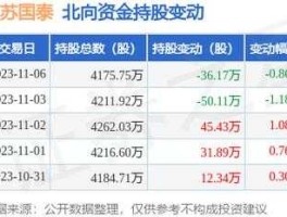 江苏国泰股票，叶檀买入的股票？