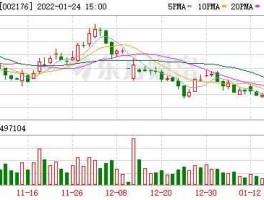 股票002176？锂电池股票有哪些？