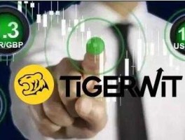 tigerwit（炒外汇能在手机上玩吗？靠谱吗？我想做？）