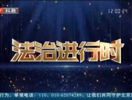 法制进行时直播 什么是法治实践？