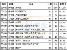 300870，临沂大学春考2020年本科多少分？