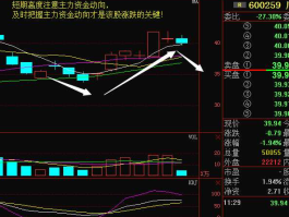 600259股票，股票大结构是什么？