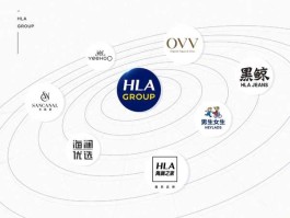 海澜之家股票 海澜之家上市成功了吗？