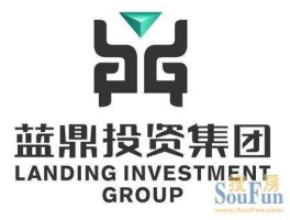 蓝鼎控股 安徽蓝鼎集团怎么样？