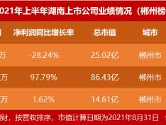 股票000590 湖南有多少家上市公司？