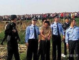 河南大年初一血案，河南沈丘2014年特大杀人案？