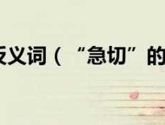 急切爆闪 “急切”是什么意思？