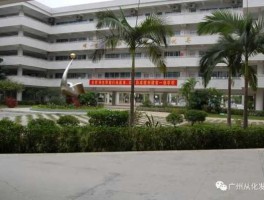xyzq，南宁市31中官网？