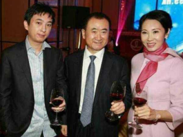 王健林 林宁，王健林几任太太？