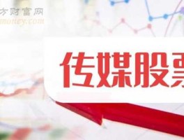 华视传媒股票，孙颖莎经纪公司？